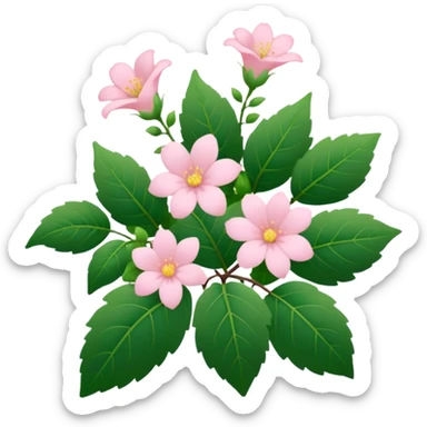 Aesthetic flowers and plants growing from the ground in colours of soft pink matching the deep green leaves (to describe/match with the word flourish) more of a wild bush or vine  sticker