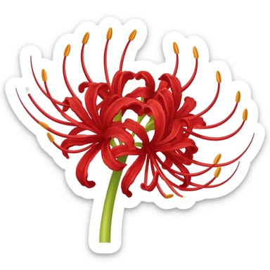 Red spider Lilly sticker