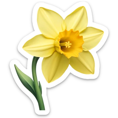 daffodil flower sticker