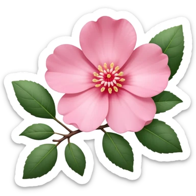 camélia pink with branch  sticker
