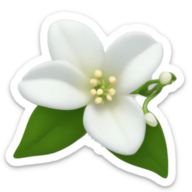 Night Jasmine flower sticker