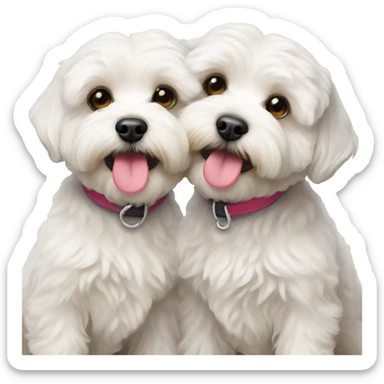 Two malti-poo dogs kissing each other sticker