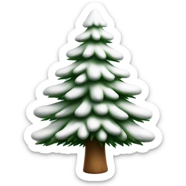  actual white fir christmas tree isolated.  sticker