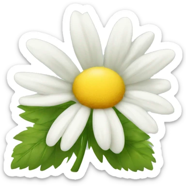 CHAMOMILE with leaf sticker