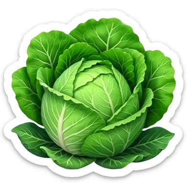 cabbage sticker