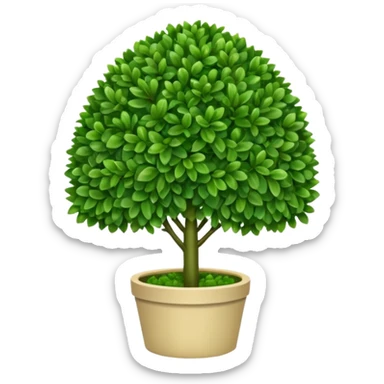 Boxwood sticker