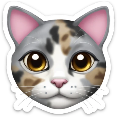 Grey dilute tortious calico (with a little bit of tan between the eyes in a diamond shape) cat with a pink bow sticker