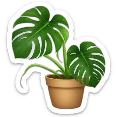 Monstera plant in pot sticker