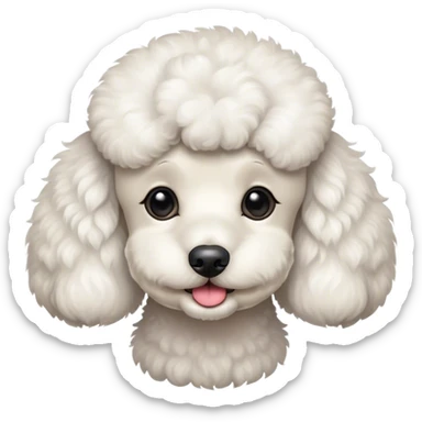 White poodle looking cute sticker
