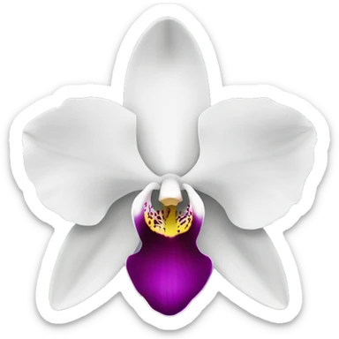 orchid  sticker