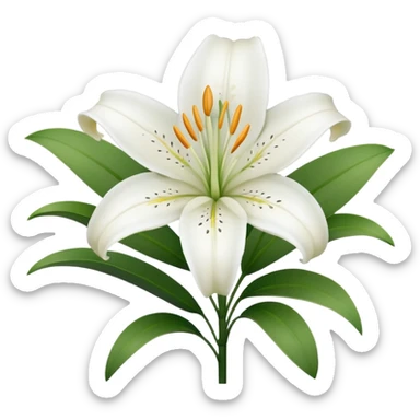 white lily flower, minimal, elegant sticker