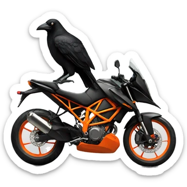 Black crow on KTM bike  sticker
