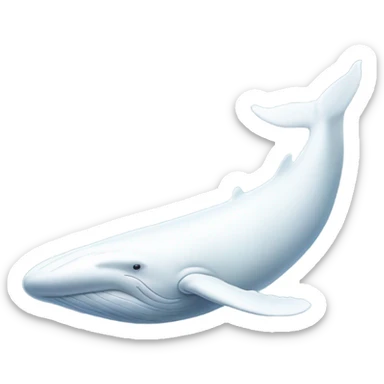white whale , underside sticker