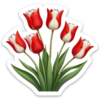 🌷Five much Tulip on white color sticker