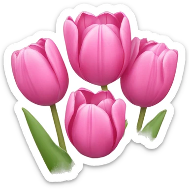 Pink tulips with a bow sticker