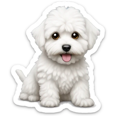 Maltipoo white sticker
