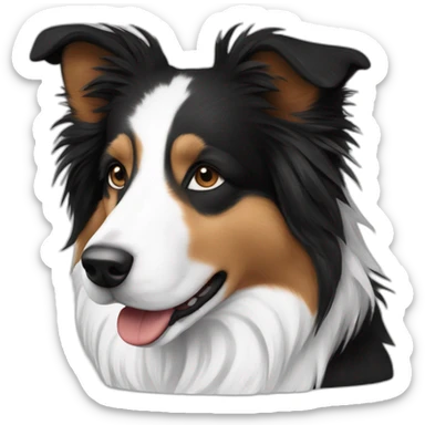 shelti border collie only black white color sticker