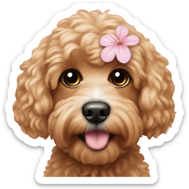  Cavapoo with light pink flower  sticker