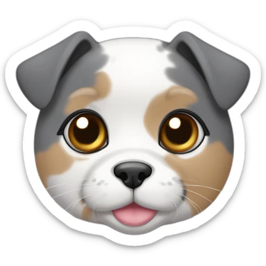 senior round diluted calico, white chin, black and pink nose, grey ears, grey and white sticker