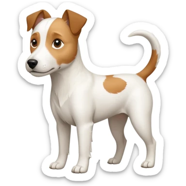 a full body slightly chubby white parson russell terrier looking dog the size of a kelpie with light brown long ears and a light brown patch on one eye and a large snout. the rest of the dog is completely whiteforward facing sticker