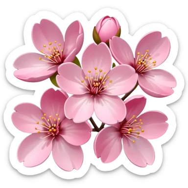 CHERRY BLOSSOM’ sticker