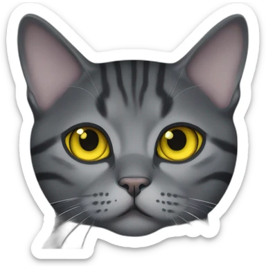 british shorthair cat in the Color black smoke with brighter stripes and yellow eyes sticker