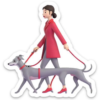 Beautiful Asian girl walking a completely solid grey Italian greyhound with a grey nose on a simple red leash, no white markings anywhere, pure grey dog sticker
