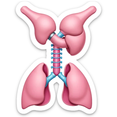 Thyroid gland sticker