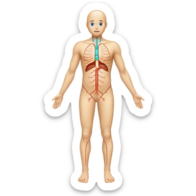 Human body scan with scanning lines, medical examination, full body diagnostic sticker