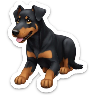 Beauceron sticker