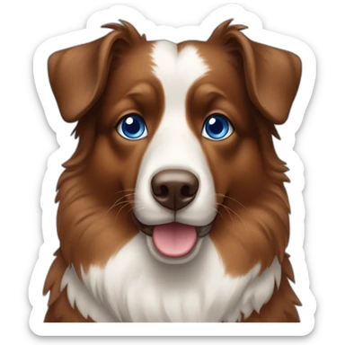 Berger australien brown tricolore blue eyes sticker