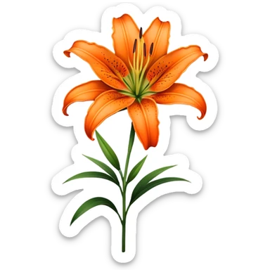 singleBright Orange Oriental Lily, straight stem sticker
