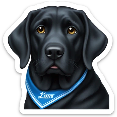 Large Black Lab dog in a Detroit Lions bandana  sticker