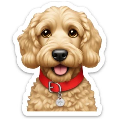 Blonde cockapoo with red collar saying Oscar sticker