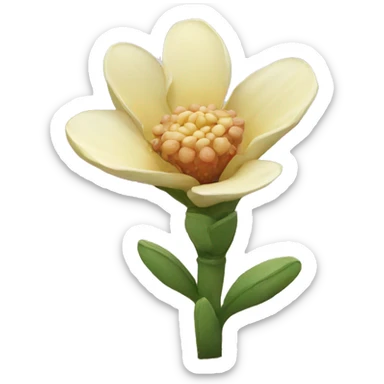 Desert flower sticker