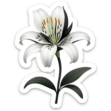 Black and white lily sticker