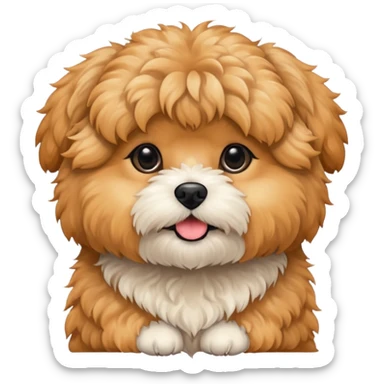 shihpoo-apricot sticker