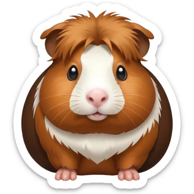 Guinea pig sticker