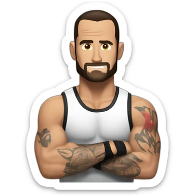 WWE cm punk sticker