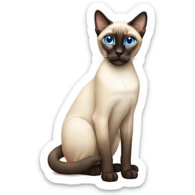 Siamese cat with blue eyes sitting  sticker