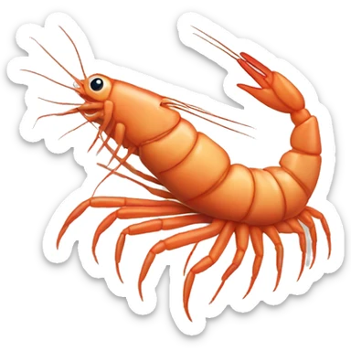 Shrimp sticker