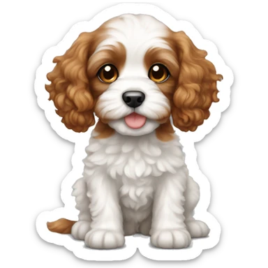 cavapoo puppy with darker red hair and white bel sticker