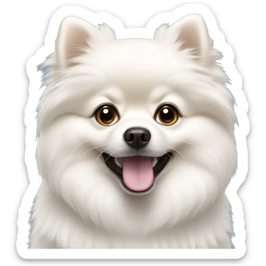 white pomeranian  sticker