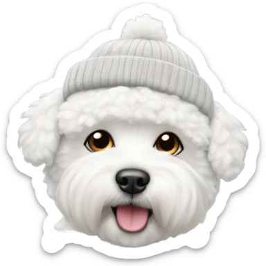 Bichon frise wearing a beanie sticker