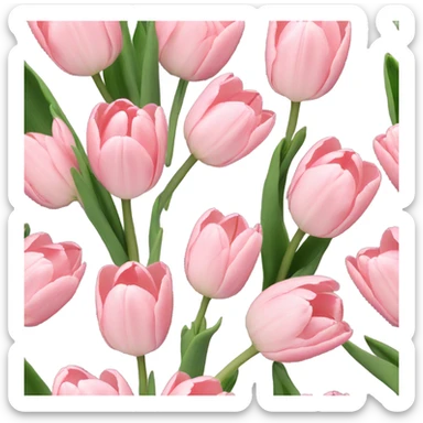 Pale pink bouquet of tulips sticker