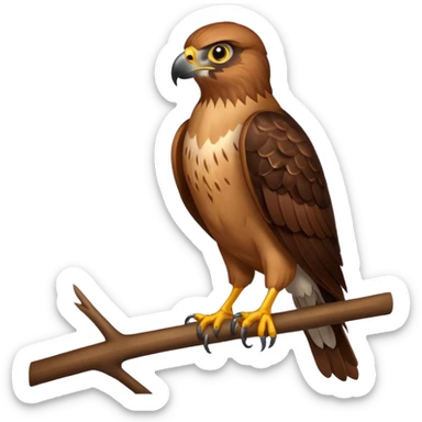 Hawk sticker