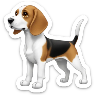 Cute white and brown beagle standing with 2 feet sticker