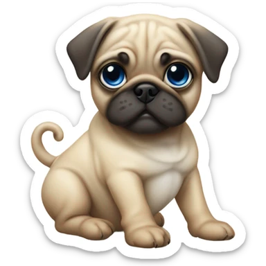 Baby pug with big blue eyes chewing a bone  sticker