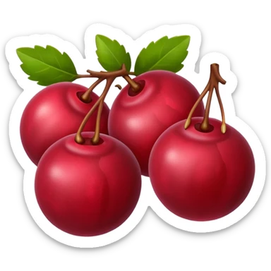Cranberries sticker