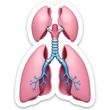 Thyroid gland sticker